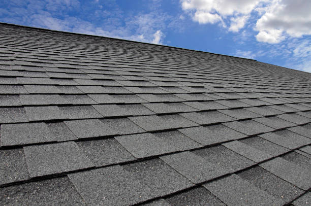 Best Solar Panel Roofing Installation  in Ames Lake, WA